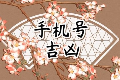 分数权重怎么设