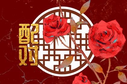 相亲对象的合婚时机